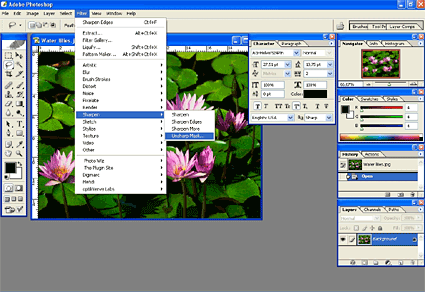 Αύξηση του βαθμού εστίασης - Unsharp Mask