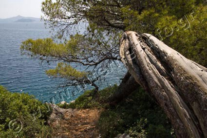 Αγκίστρι φωτογραφίες