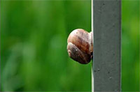 Έκθεση φωτογραφίας Φύση στην πόλη