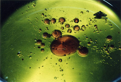 Έκθεση Φωτογραφίας του τμήματος Καλλιτεχνικής Φωτογραφίας Δήμου Χαϊδαρίου