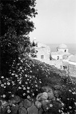 Βαγγέλης Καλογιαννίδης