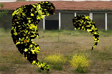 ΑΠΟ ΤΟ ΧΑΚΙ ΣΤΟ ΠΡΑΣΙΝΟ