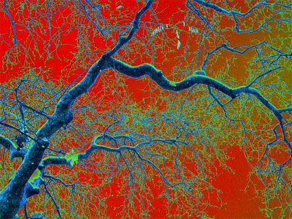 Εικαστικές εκθέσεις στο Ash in art