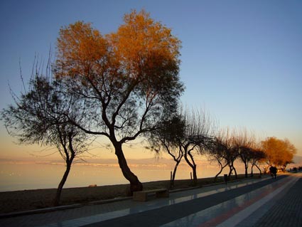 ΕΚΘΕΣΗ ΜΑΘΗΤΙΚΗΣ ΦΩΤΟΓΡΑΦΙΑΣ