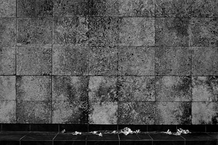 Δύο Ωκεανοί, Μία Θάλασσα