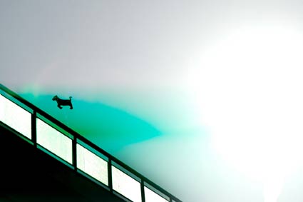 Φωτογραφικές Διατυπώσεις 2009