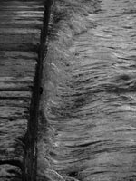 Έκθεση Φωτογραφίας και Δωρεάν μαθήματα Φωτογραφίας