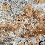 Αίγινα Ναός της Αφαίας - Φωτογραφίες