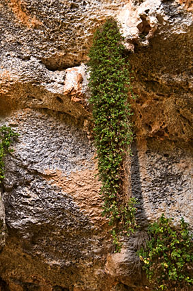Σπήλαιο Λουτσών φωτογραφίες