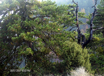 Όλυμπος - Φωτογραφίες