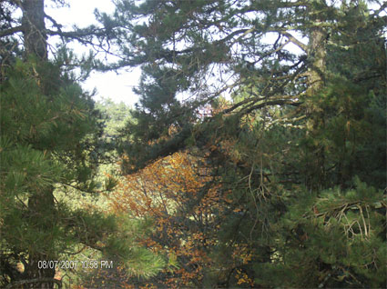 Όλυμπος - Φωτογραφίες