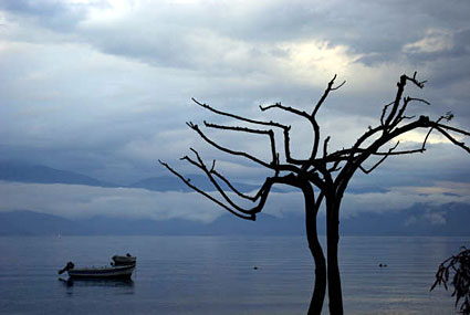 Άκολη φωτογραφίες