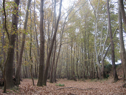 Νομός Φθιώτιδας Φωτογραφίες