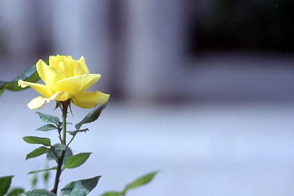 Θεσσαλία Φωτογραφίες